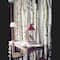 Wilson® Enterprises 3 Pack 24" Small Birch Pole